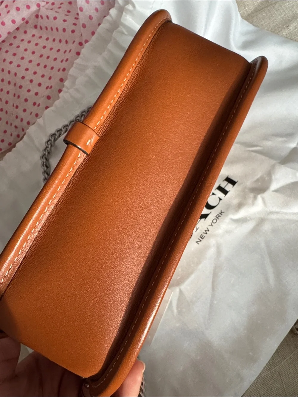 Coach Signature Canvas Crystal Swinger